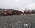 CN 3861